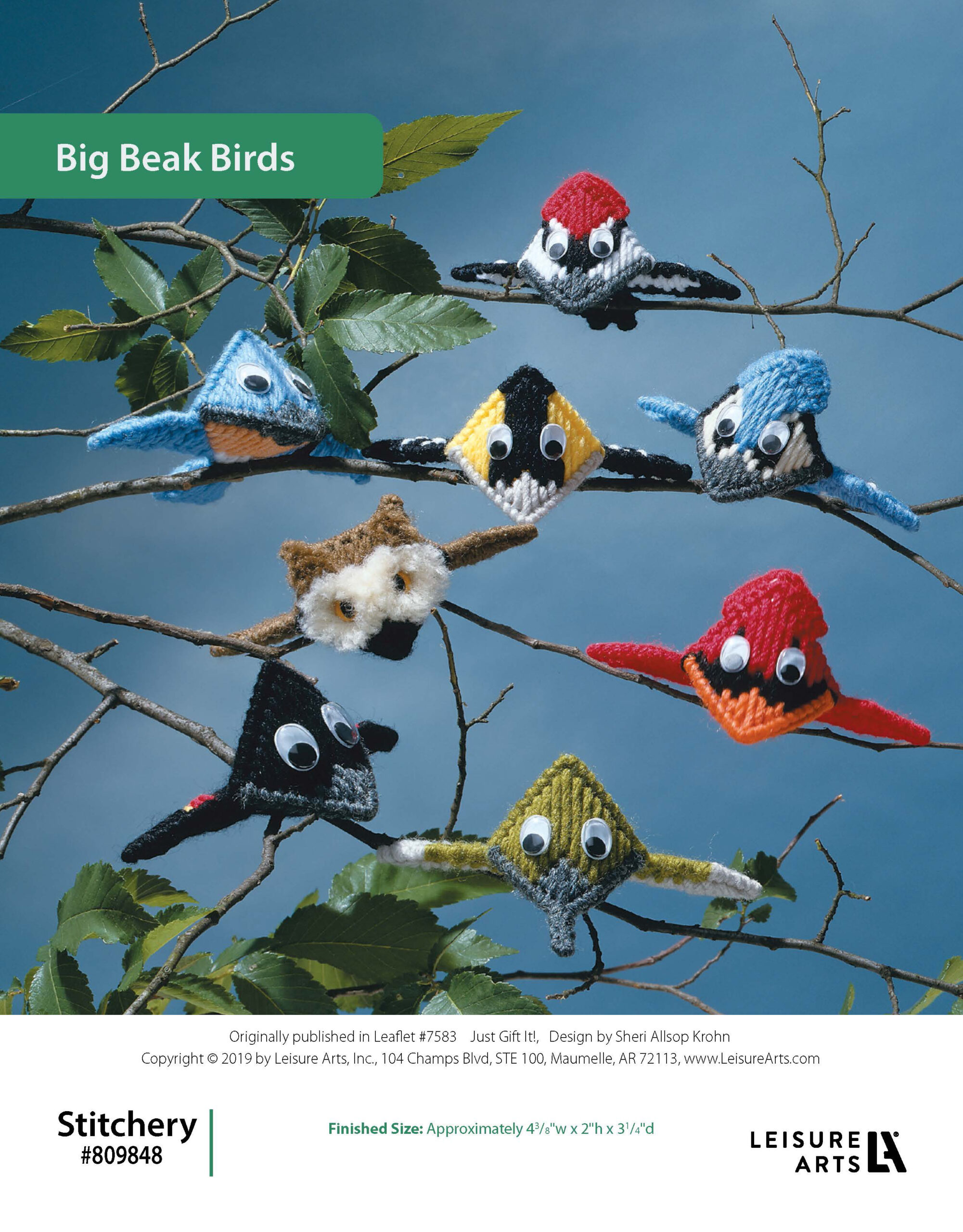 Leisure Arts Just Gift It Big Beak Birds Plastic Canvas ePattern